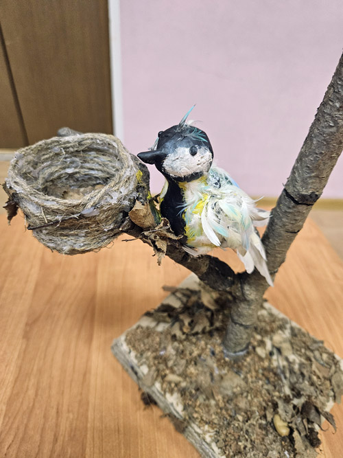 Фестиваль Экотворец